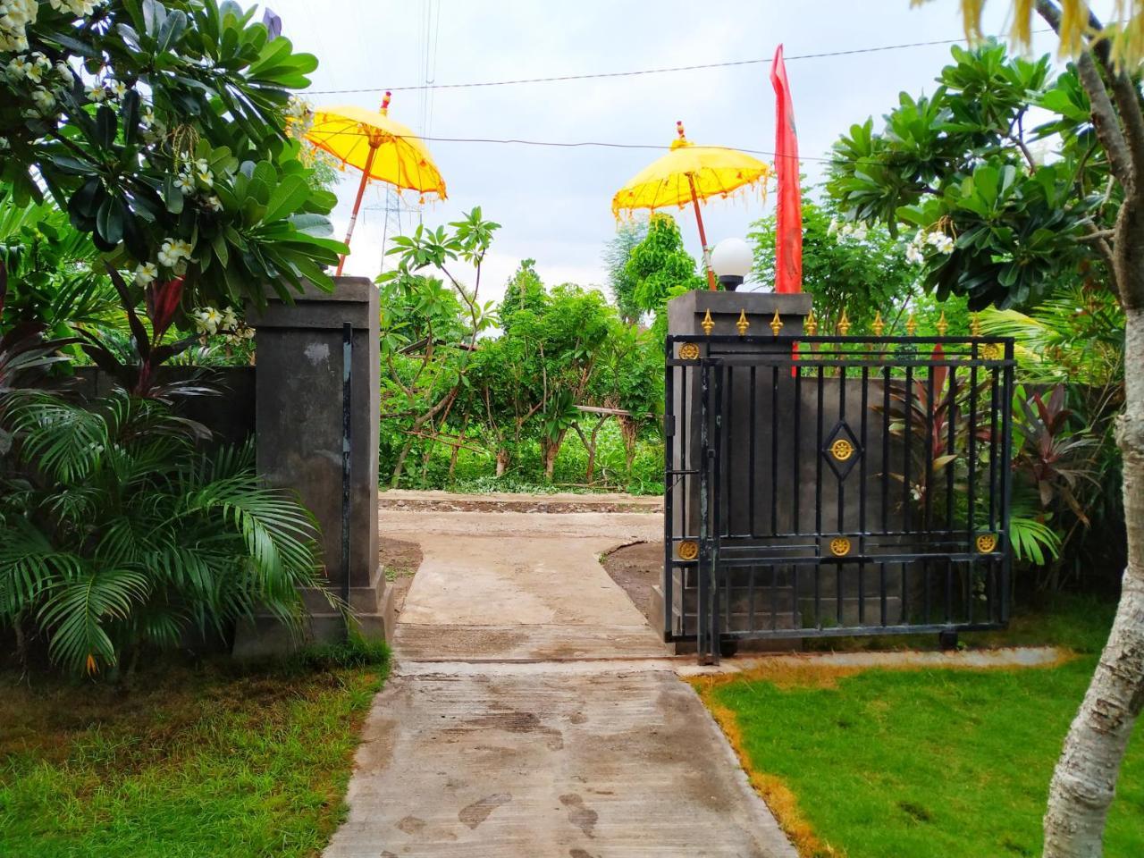 Angga Guest House Pemuteran  Luaran gambar